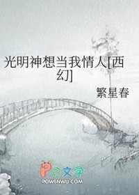 小说 光明神